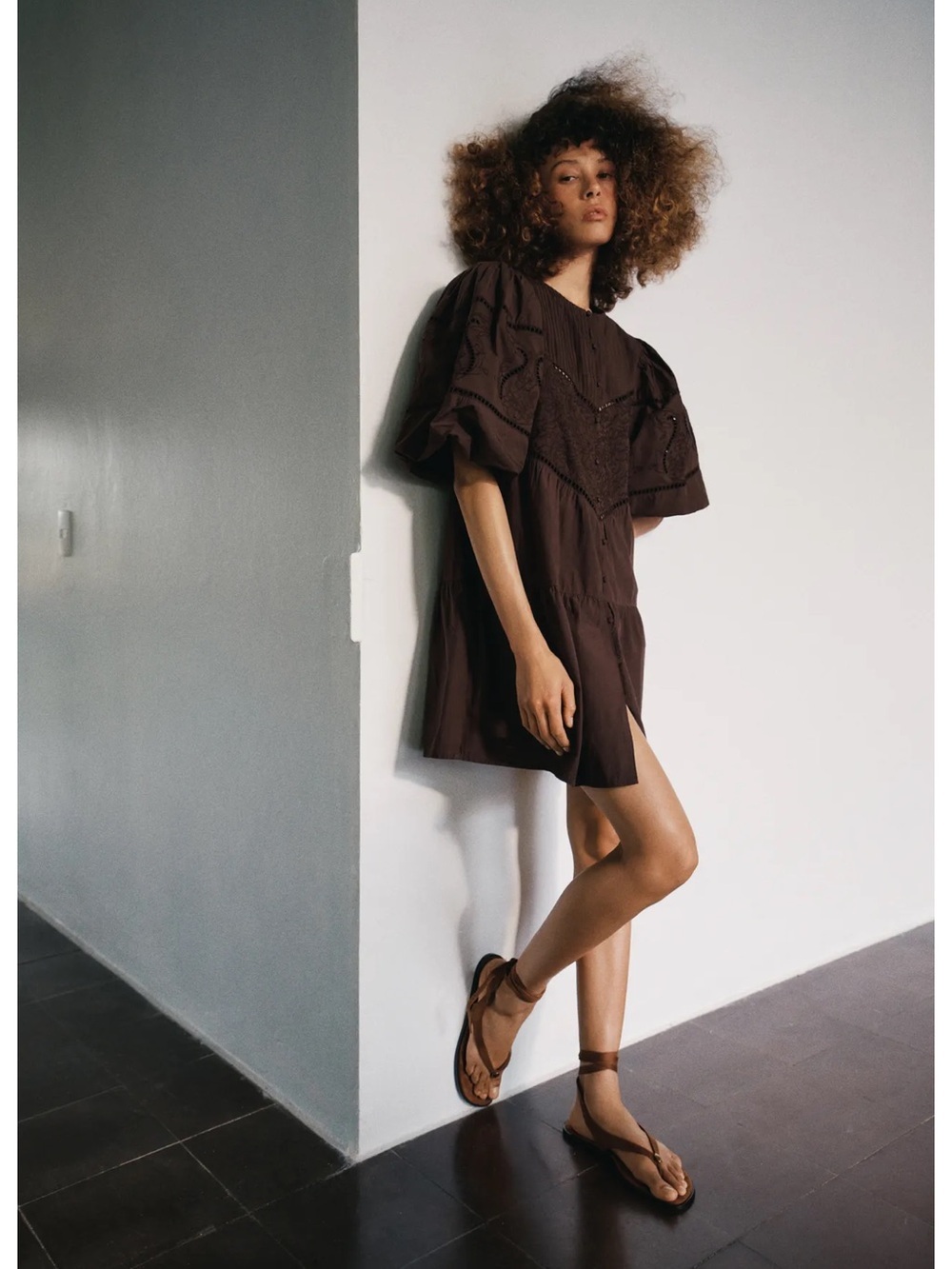 Zara Embroidered Poplin Mini Dress